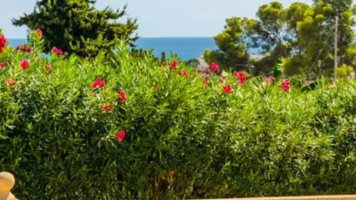 Chalet in Benissa photo 37