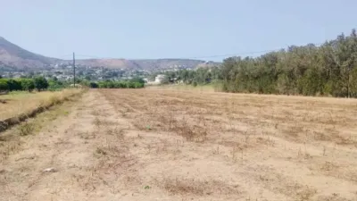 Terreno en venta en La Ermita-Montgó - Vista 5