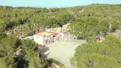 Rustic House in Centre-Port-Platja Llevant photo 26