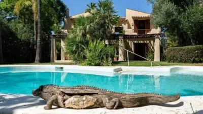 Chalet in Marina Manresa-Mal Pas-Bonaire photo 4