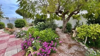Casa – Torrevieja - Vista 4