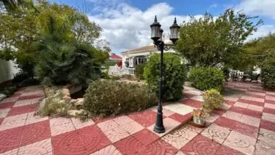Casa – Torrevieja - Vista 2