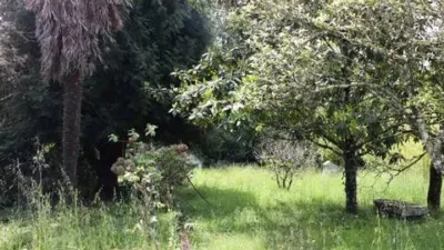 Chalet in Guitiriz photo 34