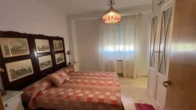 Apartment in Hellín photo 8