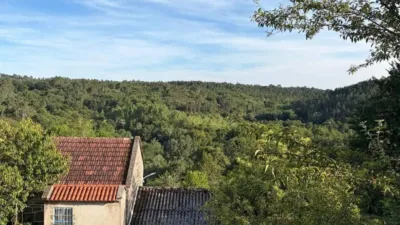 Chalet in San Cristovo de Cea photo 28