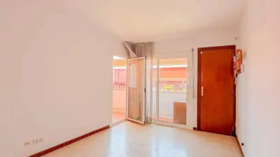 Apartment in Marítim photo 4