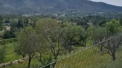 Chalet in Calvià Vila photo 6