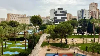 Apartment in Playa de San Juan photo 29