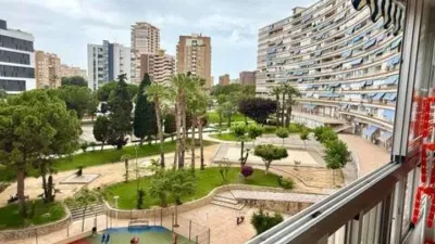 Apartment in Playa de San Juan photo 31