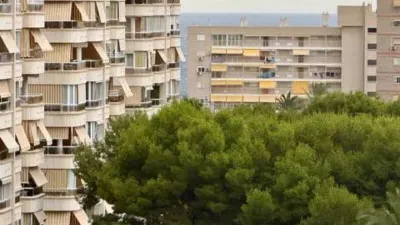 Apartment in Playa de San Juan photo 28