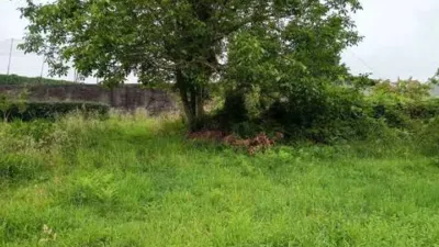 Terreno en venta en Miño - Vista 5