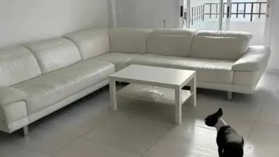 Piso – Catral - Vista 2