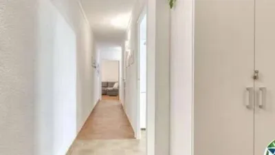 Apartment on Carrer del Puig Rom photo 5