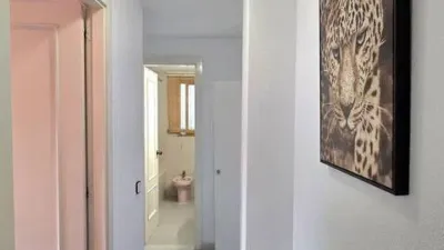 Flat on Carrer St. Feliu A St. Pol No Number photo 13