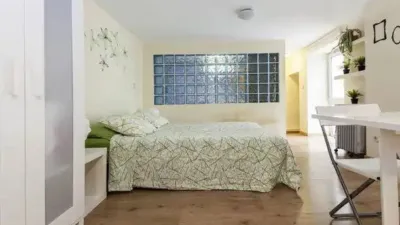 Apartment in Universidad-Malasaña photo 60