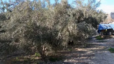 Chalet en calle N-A, -1 photo 23