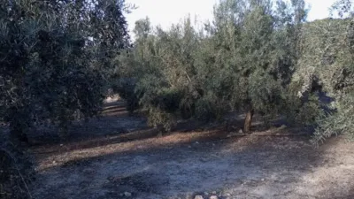 Chalet en calle N-A, -1 photo 32