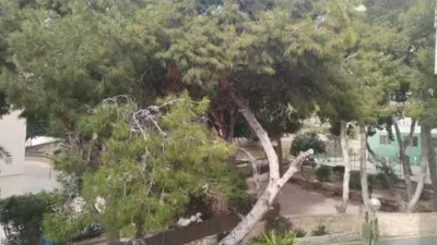 Apartment for sale in Cabo de la Huerta photo 11