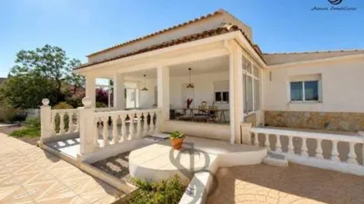 Chalet in Busot photo 2