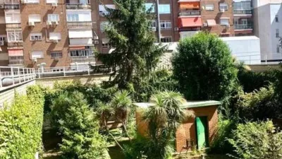 Apartment in Río Rosas photo 31