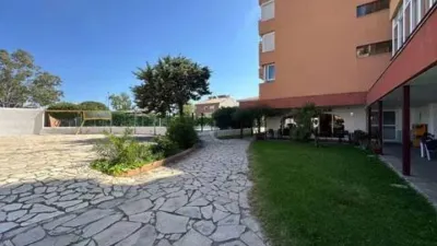Apartment in Santa Margarida photo 45