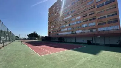 Apartment in Santa Margarida photo 72