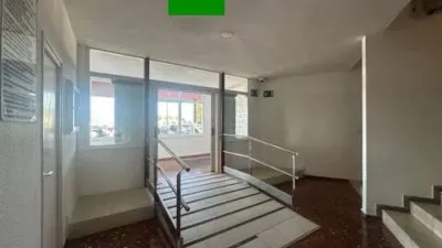 Apartment in Santa Margarida photo 63