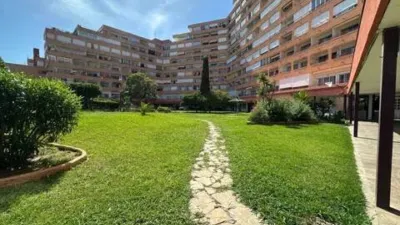 Apartment in Santa Margarida photo 37