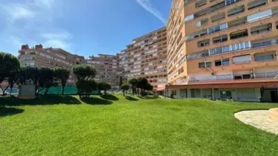 Apartment in Santa Margarida photo 33
