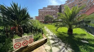 Apartment in Santa Margarida photo 38