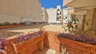 Pis – Torrevieja - Més