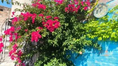 Apartment in Caldes d'Estrac photo 78
