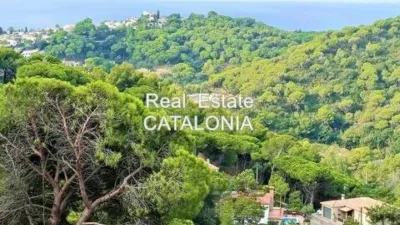 Chalet on Avenida Falgueres photo 2