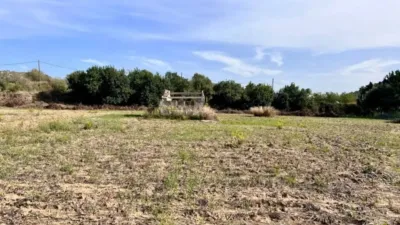 Rustic property in Alcúdia photo 4