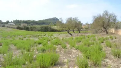 Casa rústica en Sineu photo 5