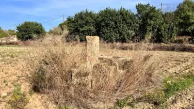 Rustic property in Alcúdia photo 3