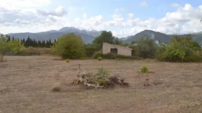 Rustic house in Campanet photo 3