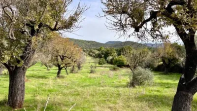 Rustic house in Campanet photo 12
