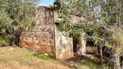Rustic house in Campanet photo 5