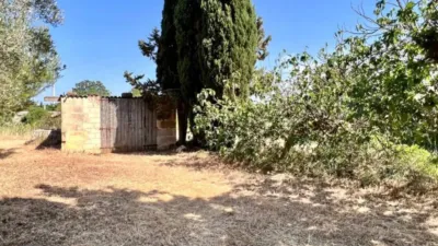 Rustic house in Muro photo 15