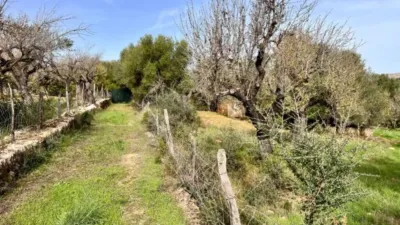 Rustic house in Campanet photo 11