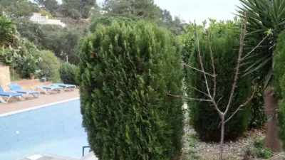 Chalet en Santa Maria de Llorell photo 43