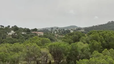 Apartment in Els Masos de Pals photo 9