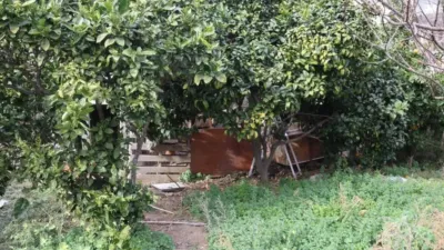 Chalet en Santa Maria de Llorell photo 52