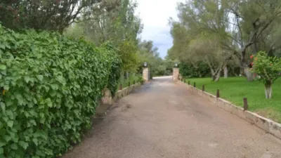 Rustic house in Algaida photo 33