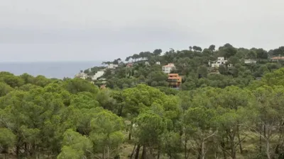 Apartment in Els Masos de Pals photo 10