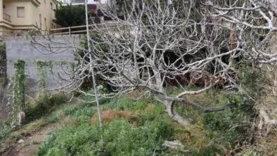 Chalet en Santa Maria de Llorell photo 48