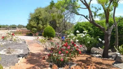 Rustic house in Santa Margalida photo 44