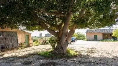 Rustic property in Palma de Mallorca photo 2