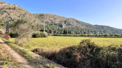 Rustic house in Alcúdia photo 4